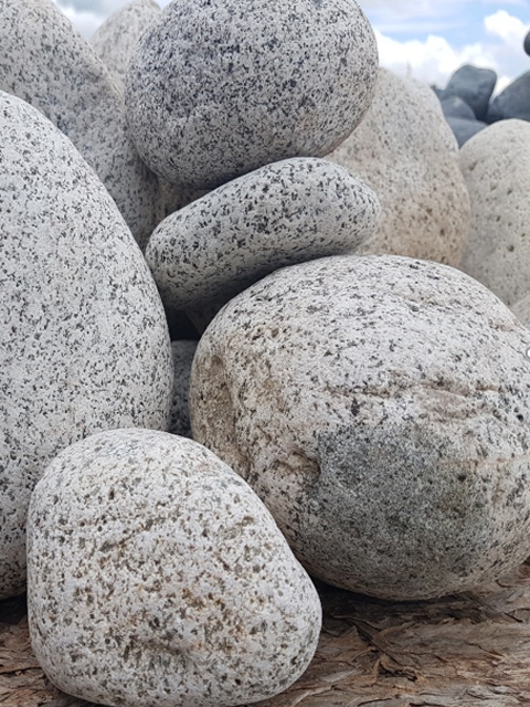 PIEDRA BLANCA CON PINTAS NEGRAS - Gran variedad de piedras decorativas para  decorar tu jardín y hogar